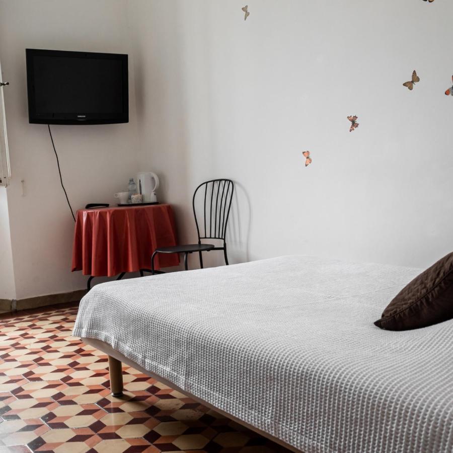 Arena Alfieri B&B Livorno Exteriér fotografie
